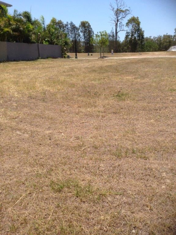 51 Serenity Boulevard, HELENSVALE, QLD 4212