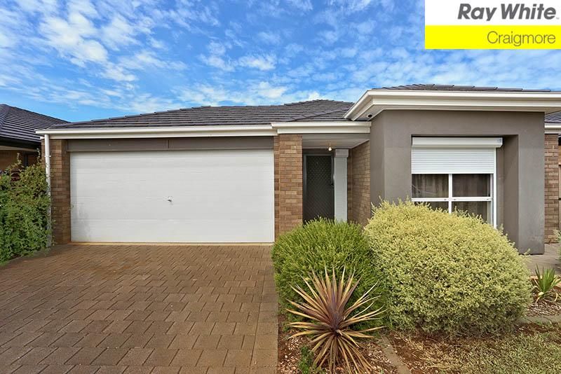 17 Eddington Street, PARAFIELD GARDENS, SA 5107