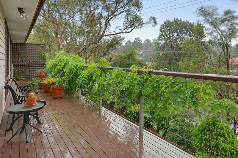 16 Evans Road, HORNSBY HEIGHTS, NSW 2077