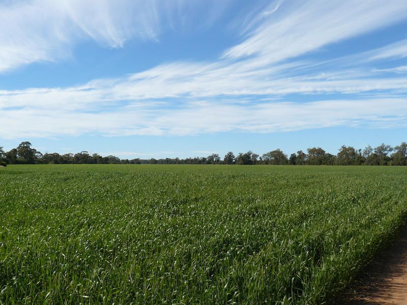 " Wilga Park ", Pallamallawa, NSW 2399