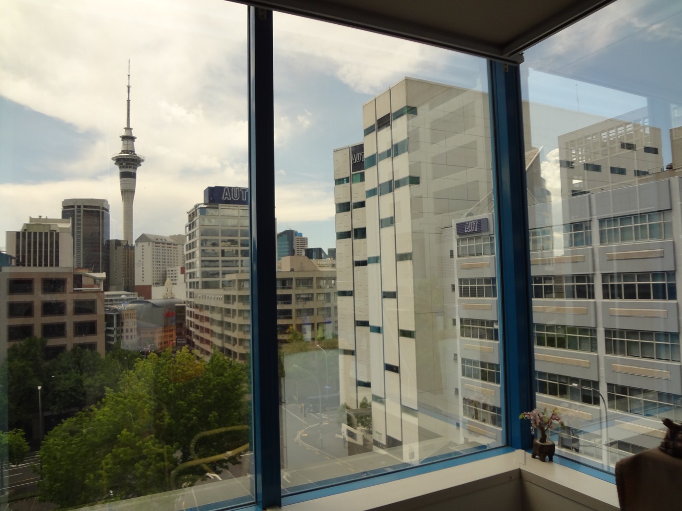 AUCKLAND CENTRAL, Auckland City