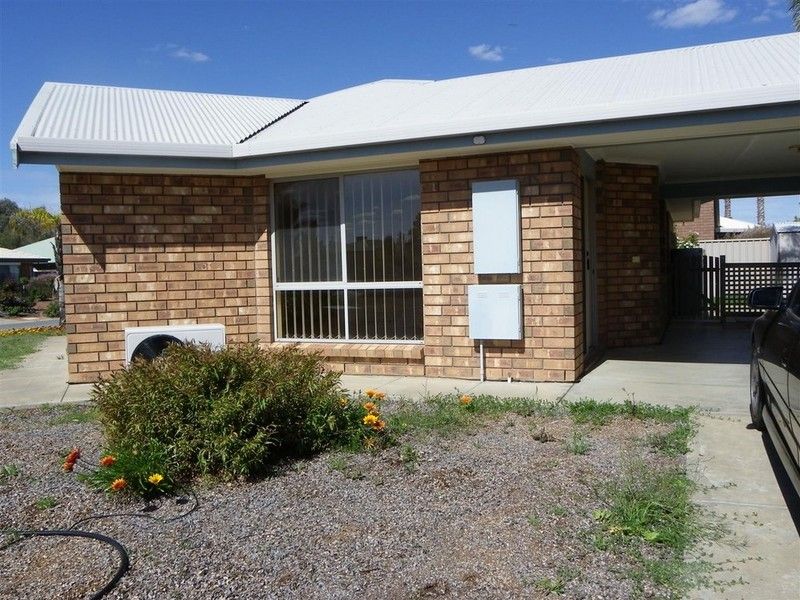 46 Meander Avenue, RENMARK, SA 5341
