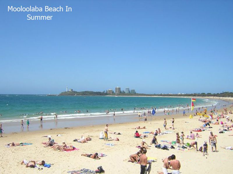 221/11 Mooloolaba Esplanade, MOOLOOLABA, QLD 4557
