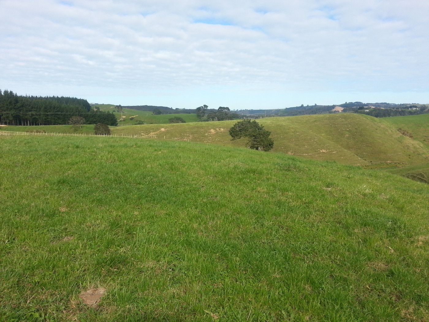 Pukekawa, Waikato District