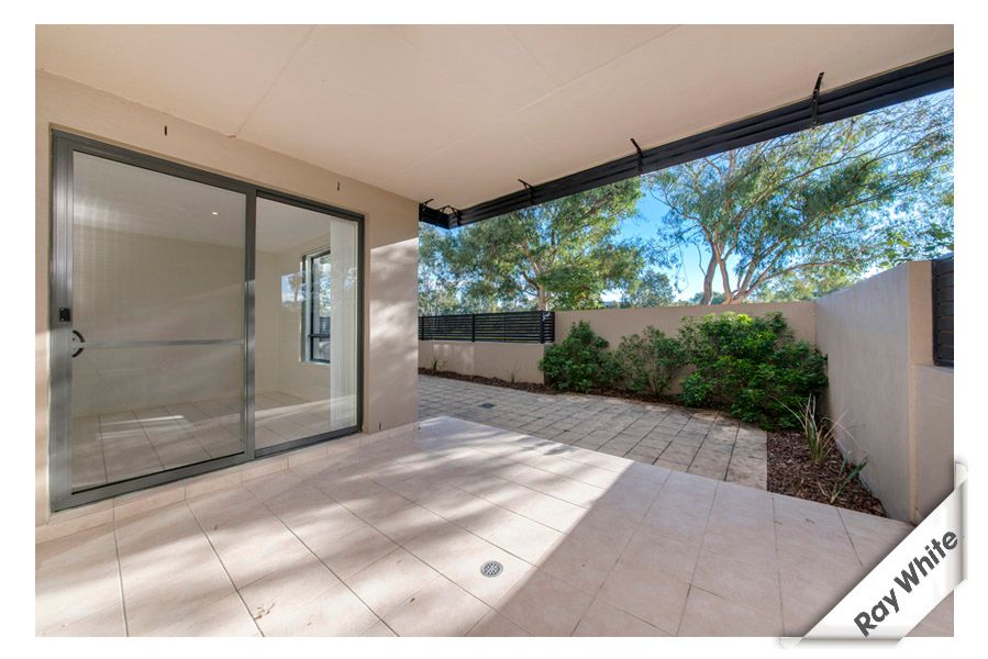 58 Eileen Good Street, GREENWAY ACT 2900