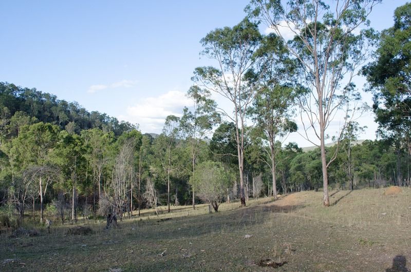 Lot 89 UNdullah Road, LYONS, QLD 4124