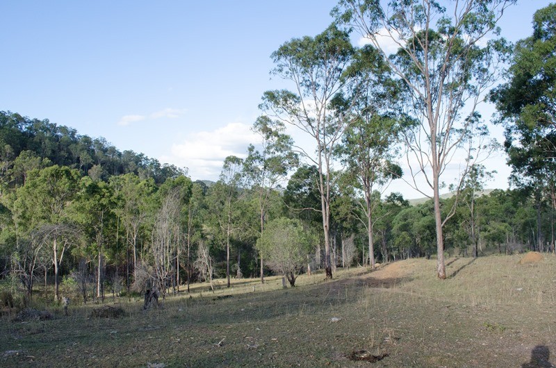 Lot 89 UNdullah Road, LYONS, QLD 4124