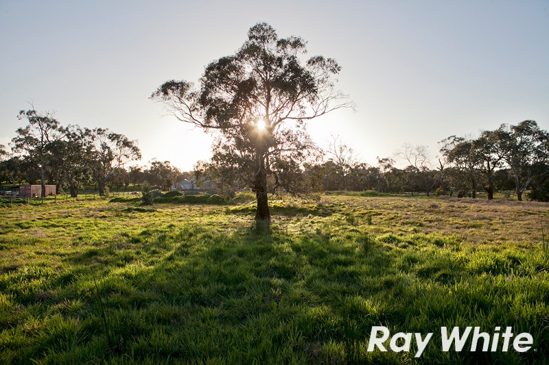 Lot 10 Bellary Lane, LANGWARRIN, VIC 3910