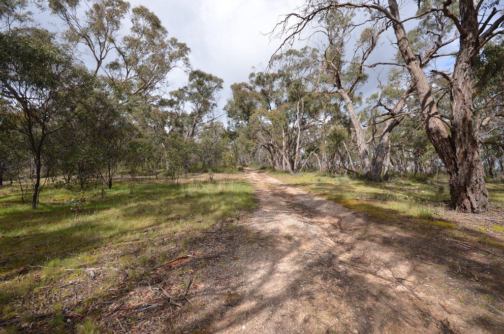 CA37E and CA37F Piggoreet Road, PIGGOREET, VIC 3351
