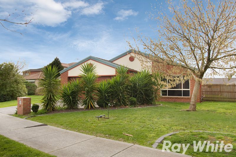 6 Sycamore Court, NARRE WARREN SOUTH, VIC 3805
