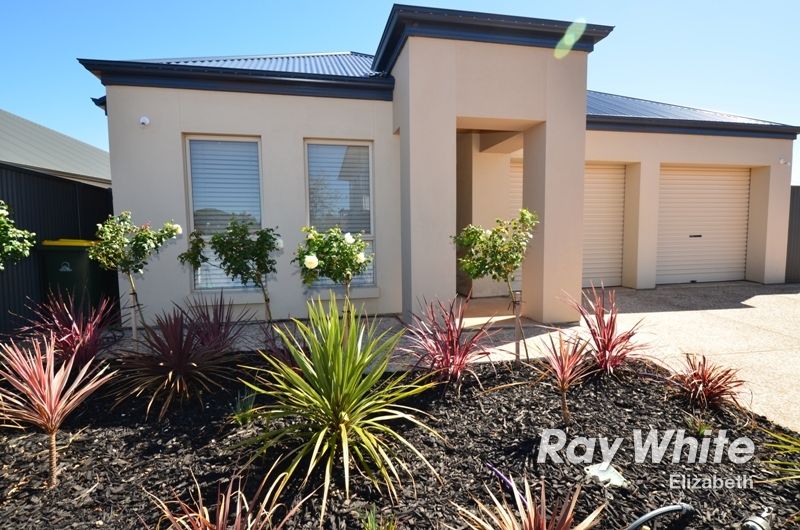 43 Swinden Crescent, BLAKEVIEW SA 5114