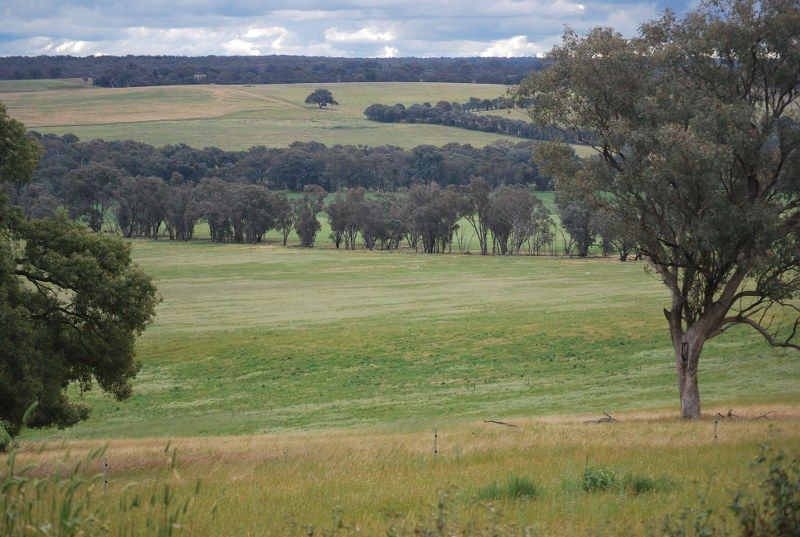 326 Garra Road, Molong, NSW Rural Rural Cropping Property Sold