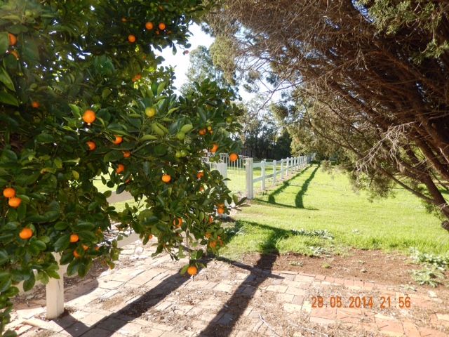 LOCHINVAR, NSW 2321