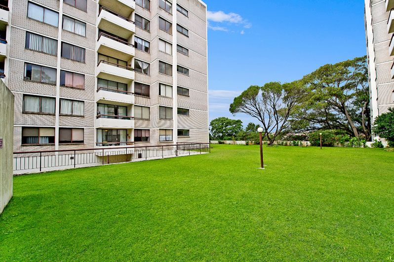 31 Dutruc Street, RANDWICK NSW 2031