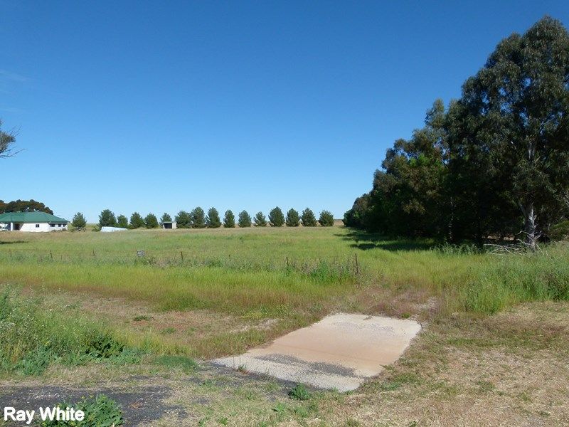 331A Calarie Road, FORBES, NSW 2871