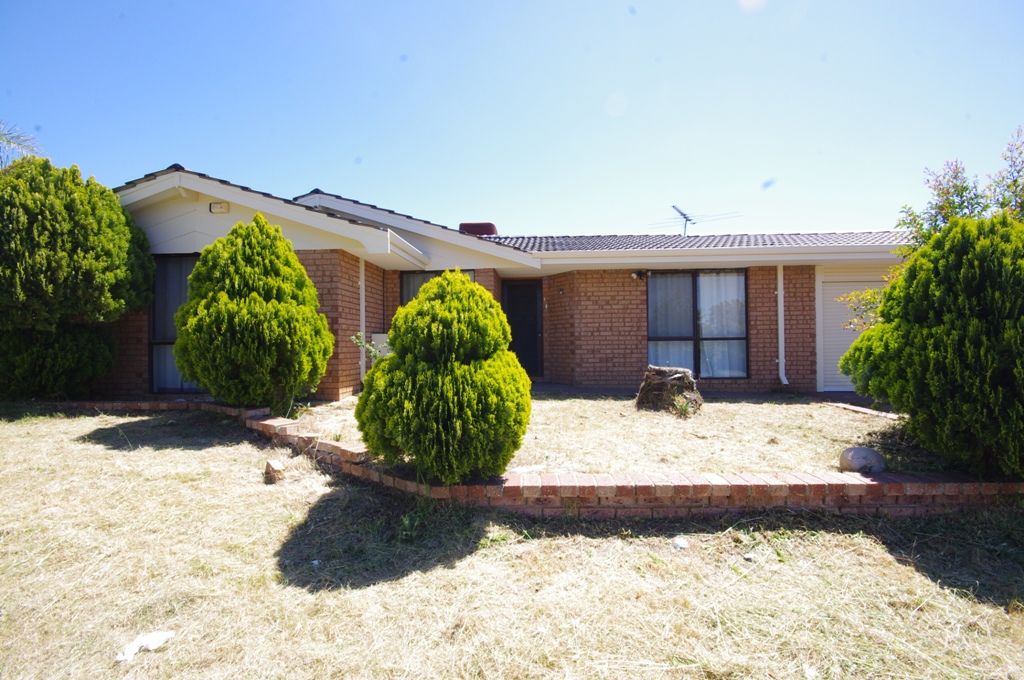 79 Dryandra Drive, MIRRABOOKA, WA 6061