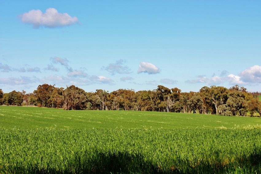 Lot 1 DP 1195286 Back Creek Road, KINGSVALE, NSW 2587