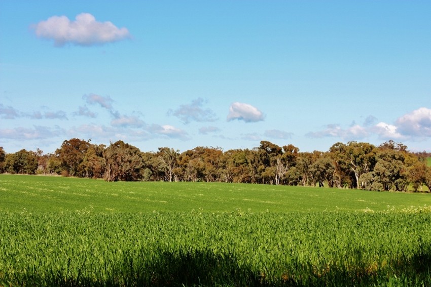 Lot 1 DP 1195286 Back Creek Road, KINGSVALE, NSW 2587