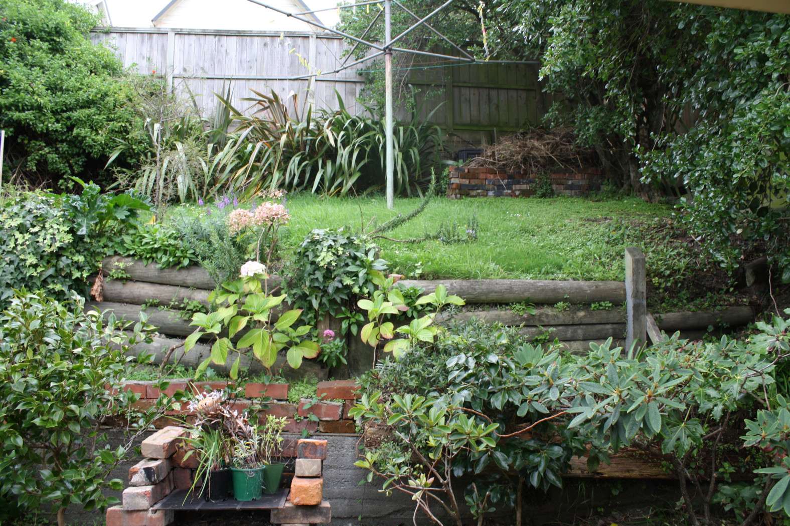 MOUNT COOK Wellington City 6021, Mount Cook, Wellington City Real