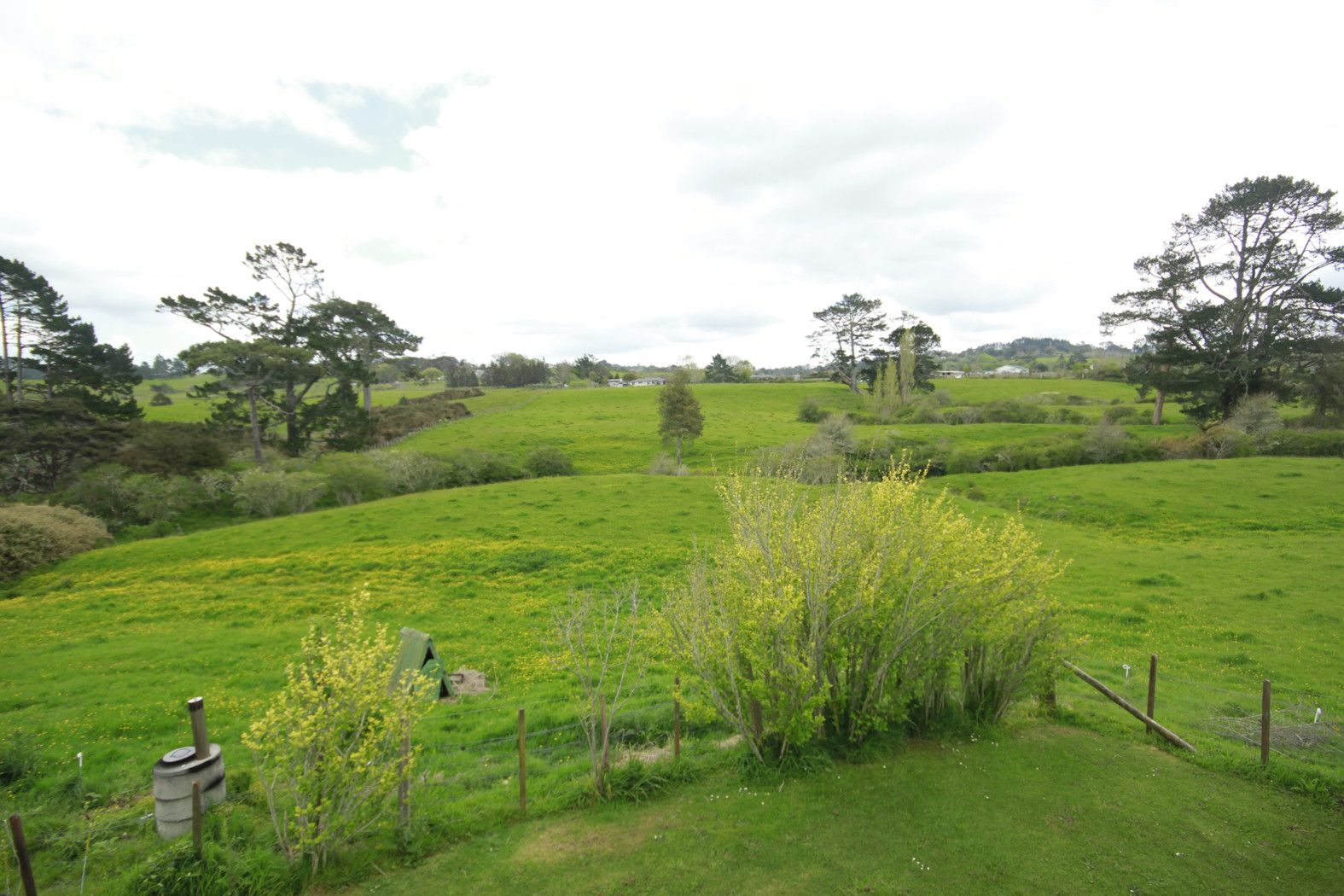 1373 Dairy Flat Highway, DAIRY FLAT, Rodney