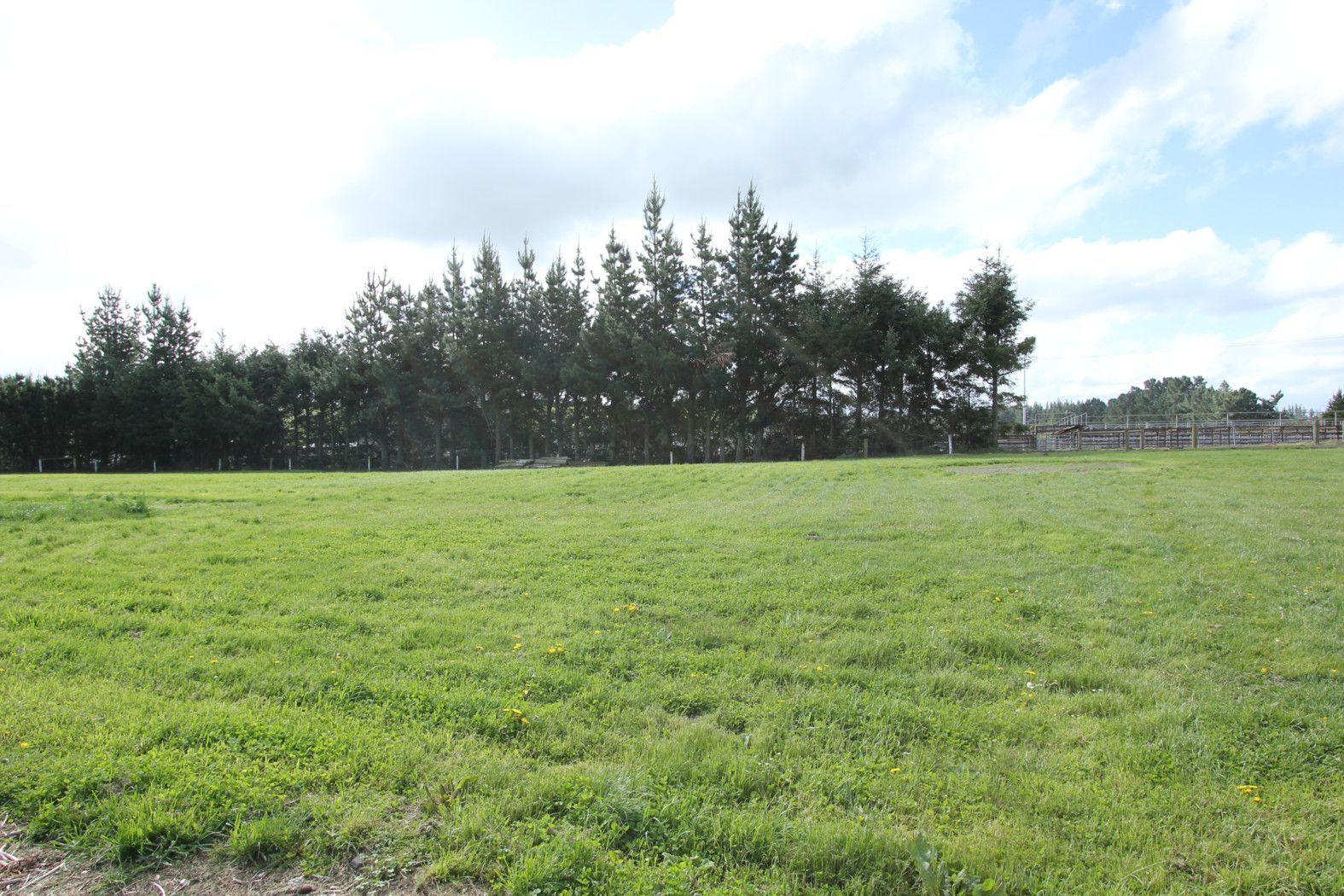 Lot 5 King Street, COALGATE, Selwyn District