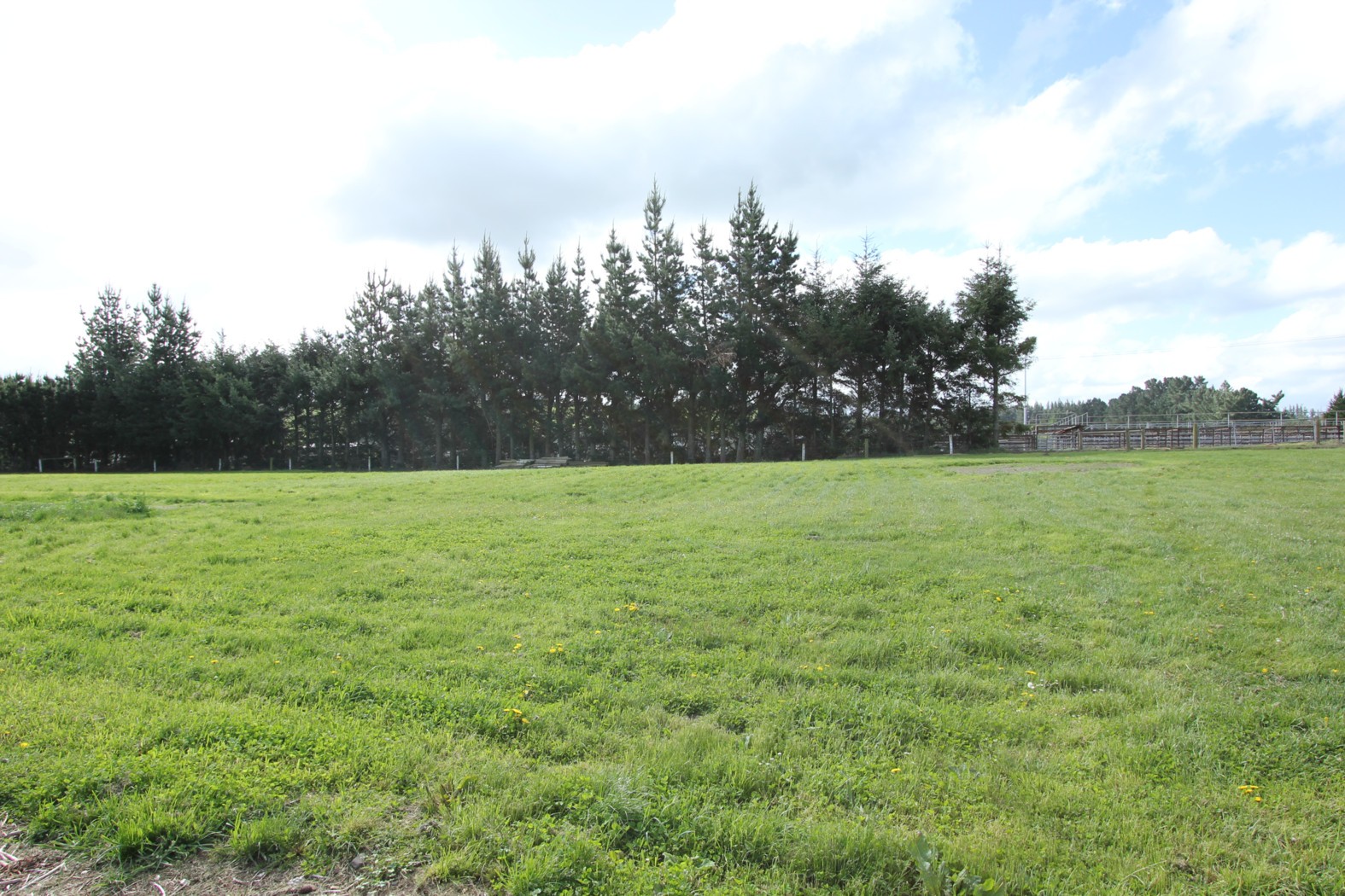 Lot 5 King Street, COALGATE, Selwyn District
