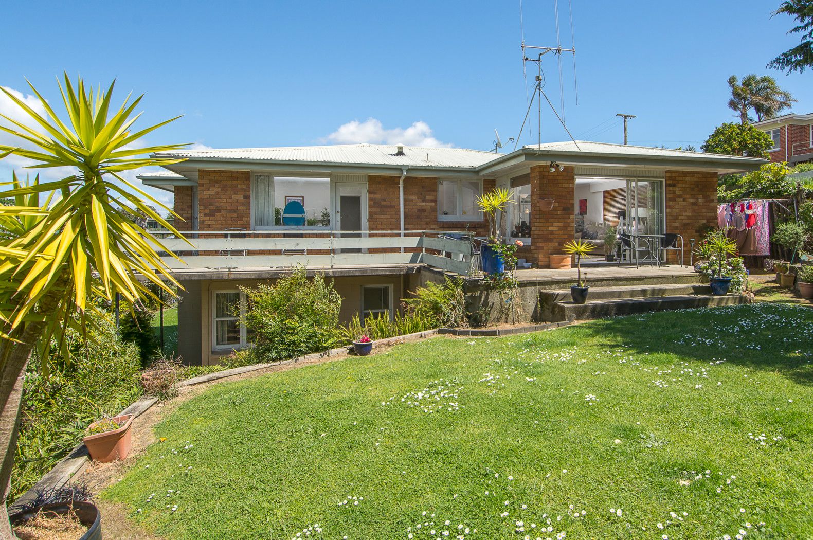 51 Harvey Street, AVENUES, Tauranga City