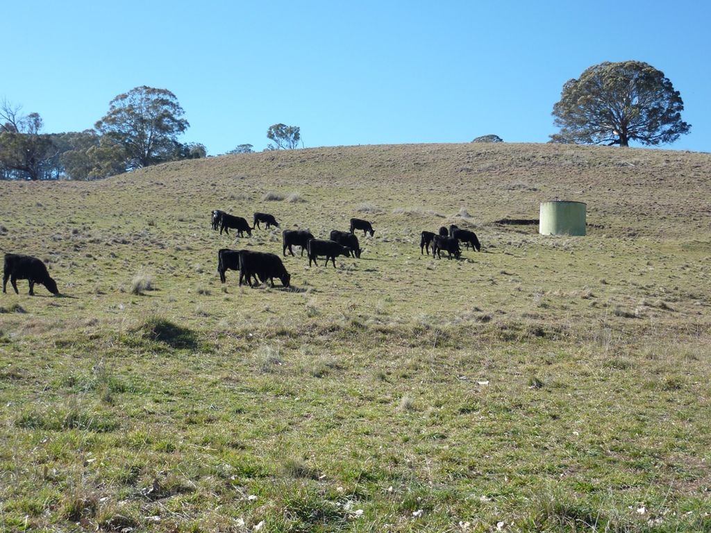 504 'Mt Emby' Moredun Road, BEN LOMOND, NSW 2365