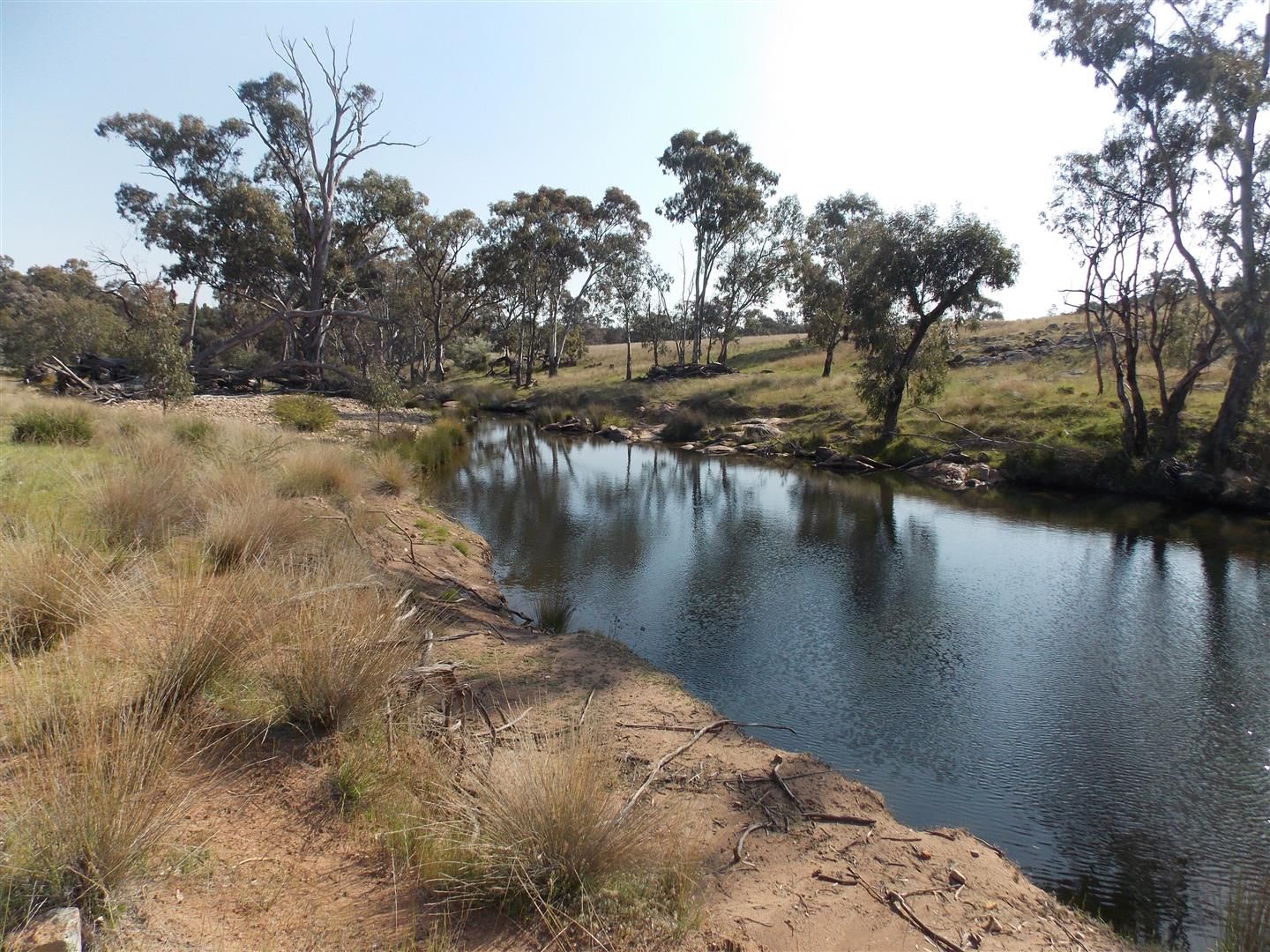 595 Bindogundra Road, PARKES, NSW 2870