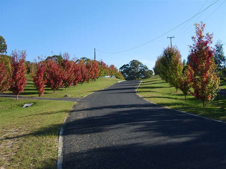 Lot 203 Morris Place, LITTLE HARTLEY, NSW 2790