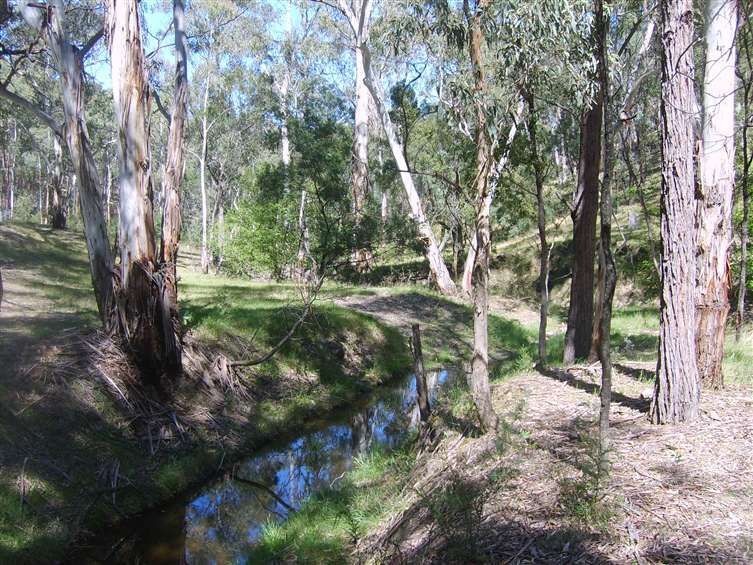 Lot 204 Morris Place, LITTLE HARTLEY, NSW 2790