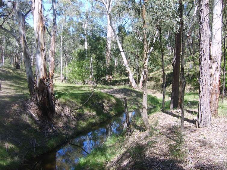 Lot 204 Morris Place, LITTLE HARTLEY, NSW 2790