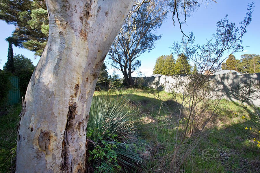 Lot 10 Ailsa Street, MOUNT VICTORIA, NSW 2786