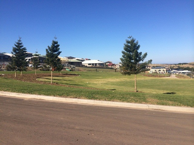 6 Cubitt Road, FLINDERS, NSW 2529