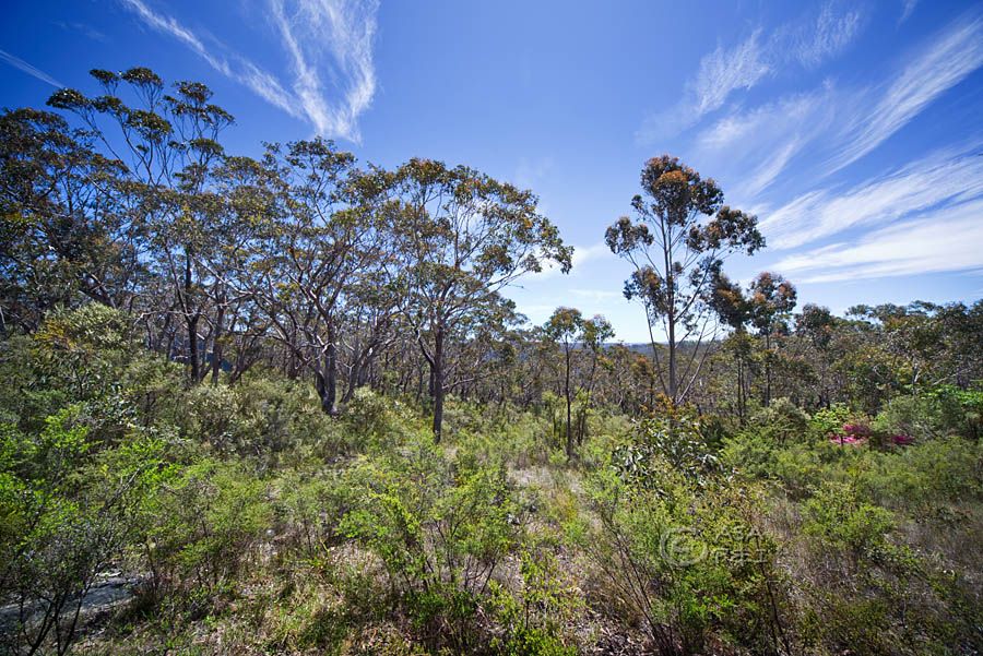 59 Delmonte Avenue, MEDLOW BATH, NSW 2780