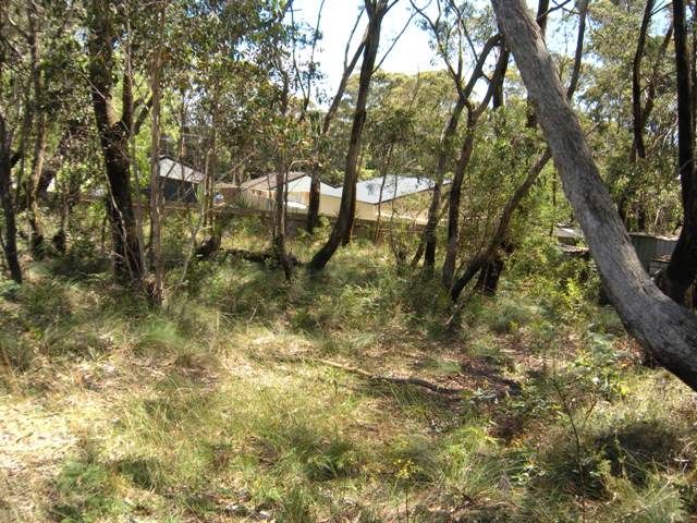 8 Sunbeam Avenue, BLACKHEATH, NSW 2785
