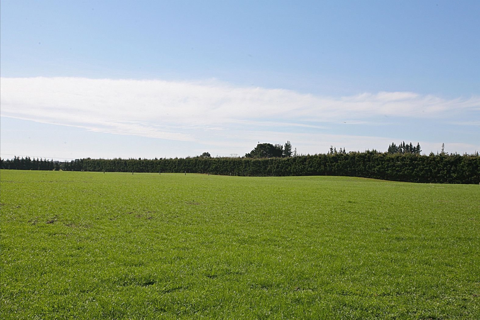 762 Maddisons Road, WEEDONS, Selwyn District