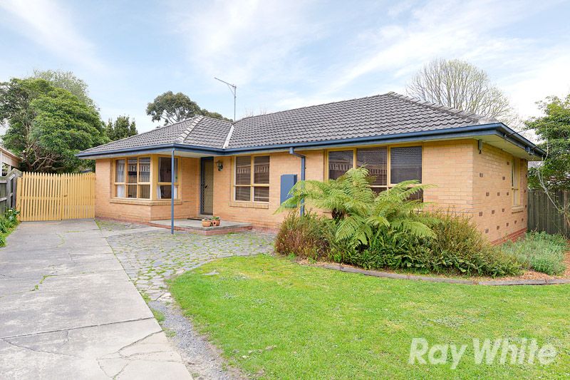 17 Clow Avenue, UPPER FERNTREE GULLY VIC 3156
