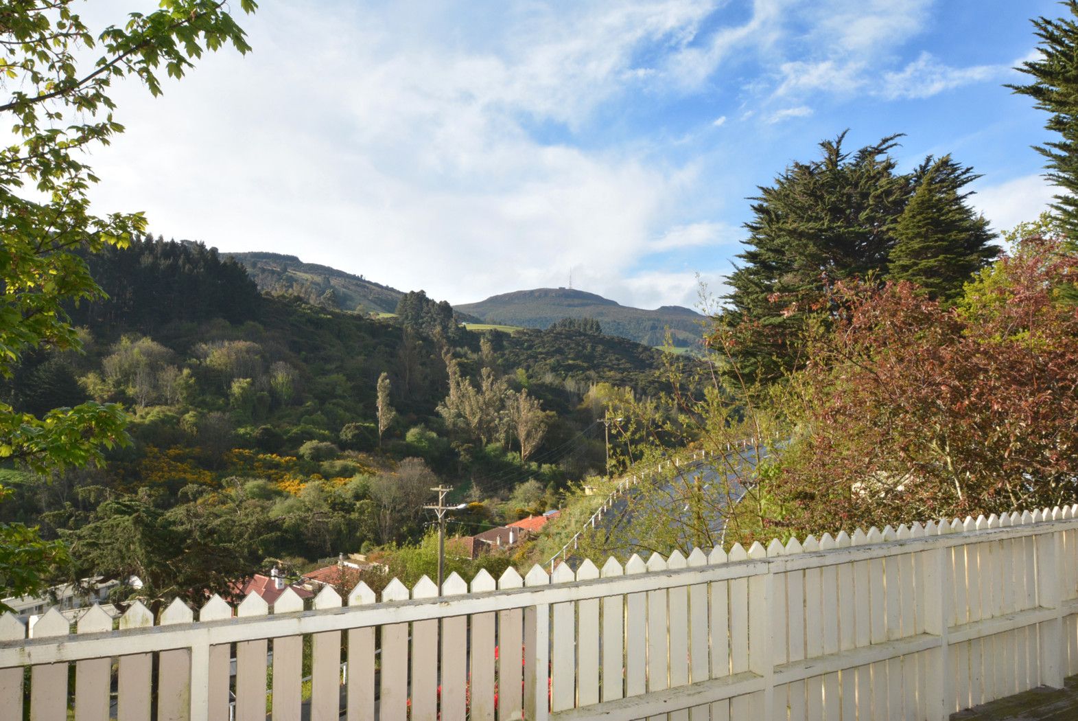 486 North Road, NORMANBY, Dunedin City