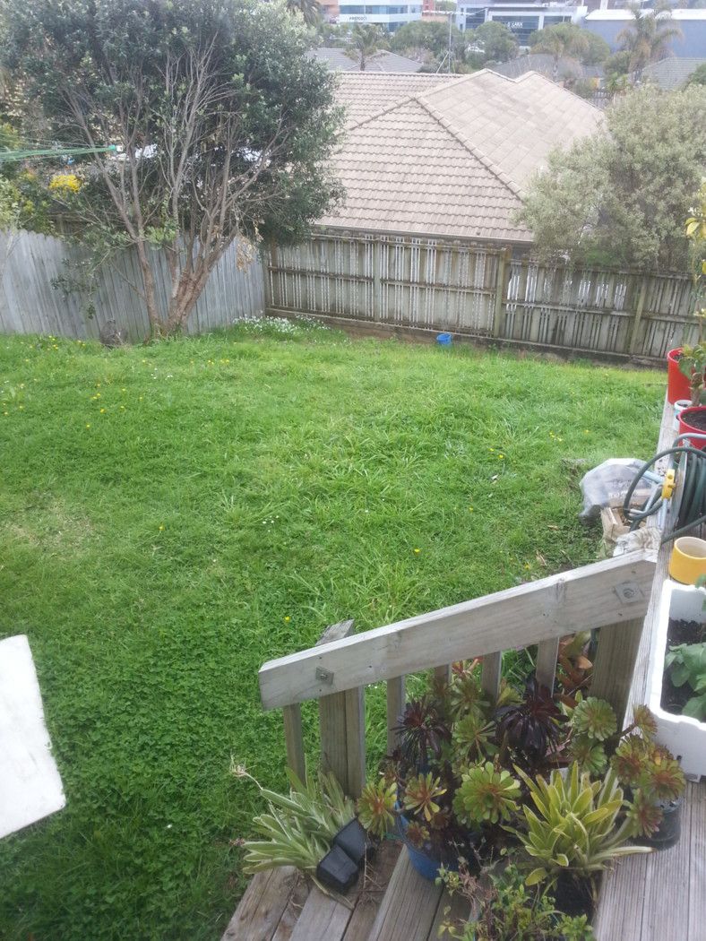 12 Black Teal Close, UNSWORTH HEIGHTS, North Shore City