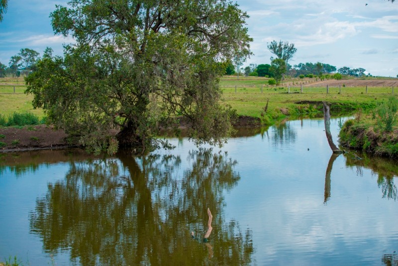 557 Rosevale Road, ROSEVALE, QLD 4340