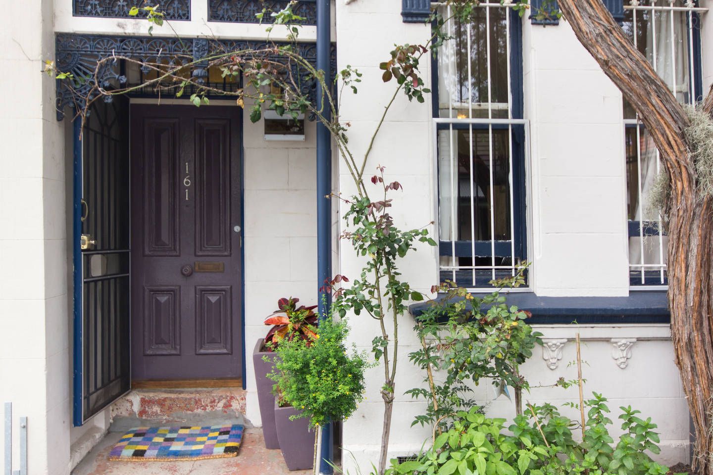 161 Probert Street, NEWTOWN, NSW 2042