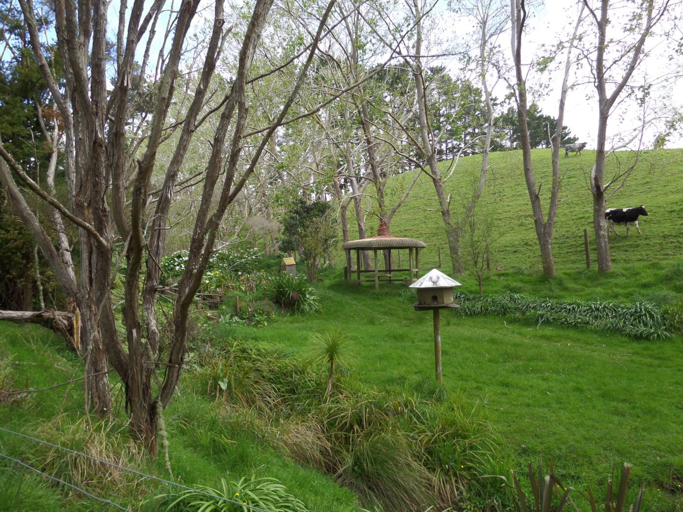 168 Shanks Road, Kaukapakapa, Rodney