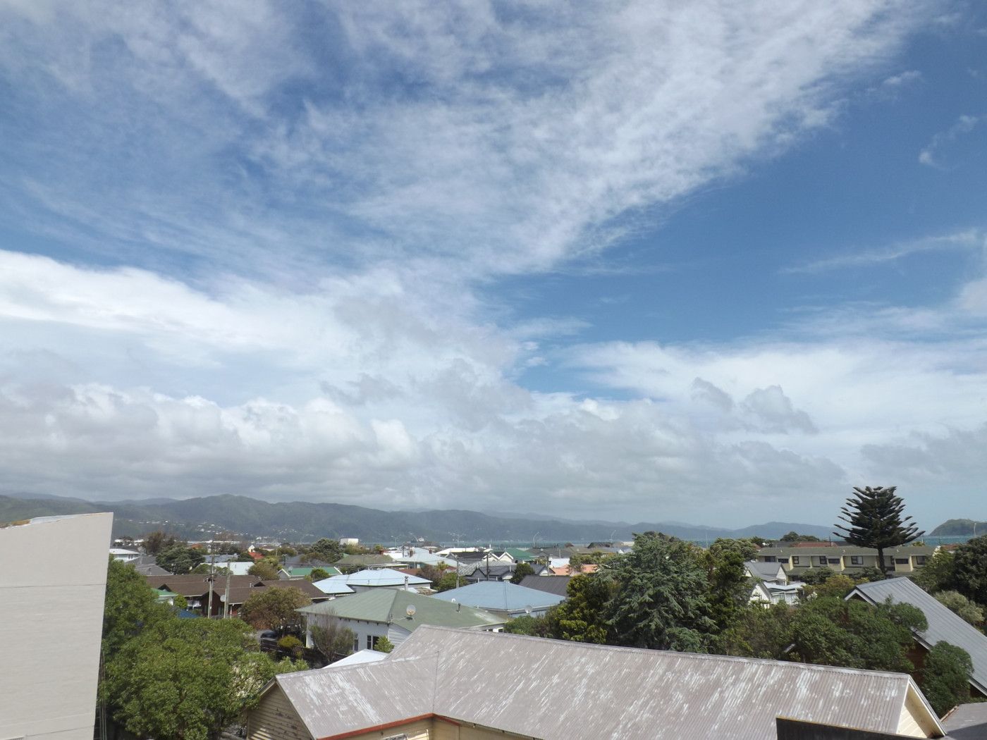 208/13 Jackson Street, Petone, Lower Hutt City