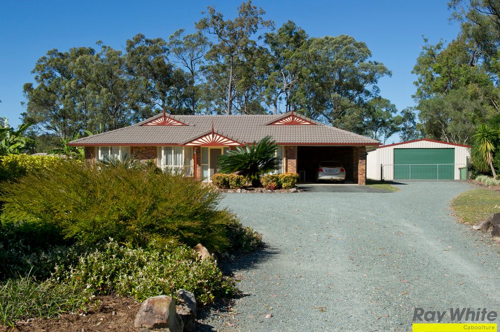 137 139 Smiths Road, Elimbah, QLD Home For Sale • Ray White