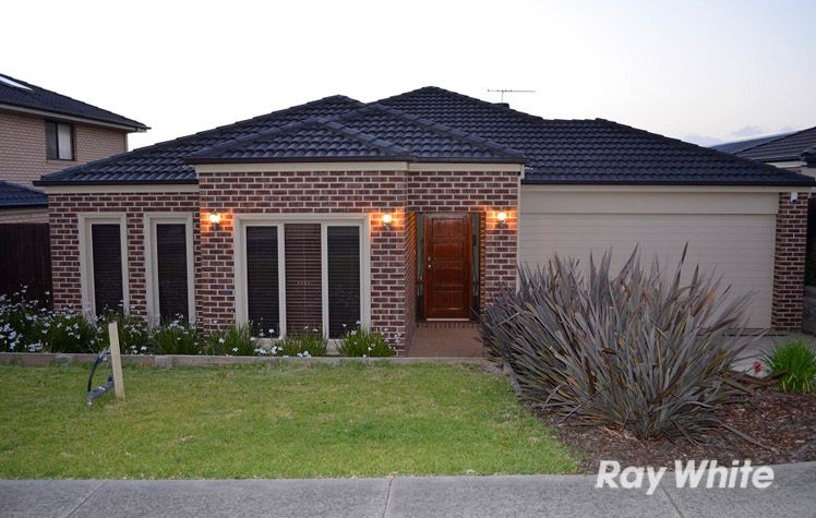 9 Elphin Close, Lynbrook, VIC Residential House Sold
