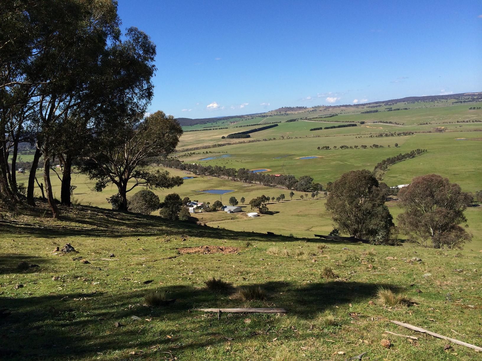 969 Towrang Road, Goulburn, NSW 2580