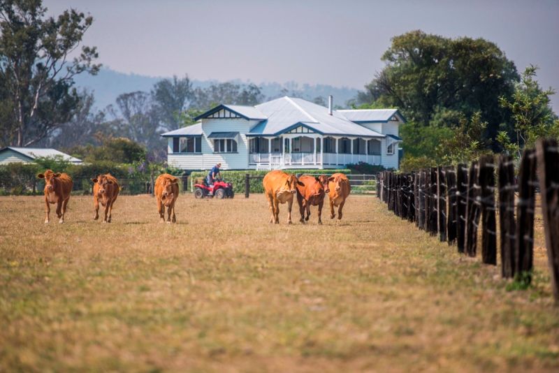485 Sellars Road, ROSEVALE, QLD 4340 Sold Rural Mixed Farming