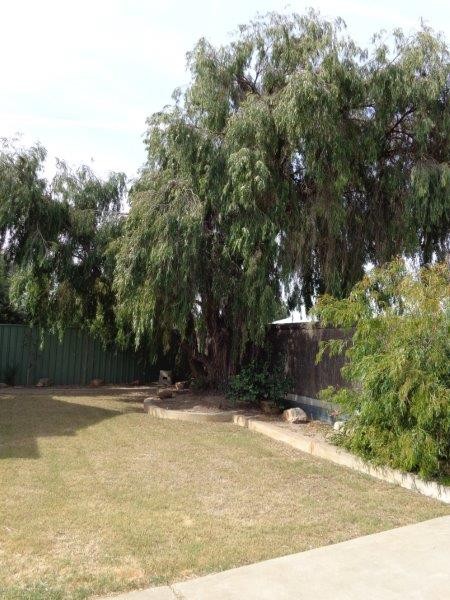 59 High Street, Grange, SA 5022
