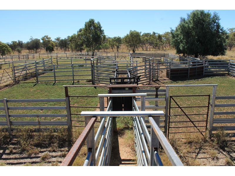 Charleville, Charleville, QLD 4470